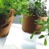 Eva Solo Self-Watering Flowerpots