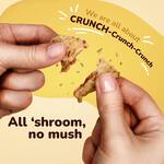 Evil Snacks Organic Crunchy Mushroom Chips
