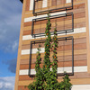 Exeter Wall Trellis