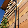 Exeter Wall Trellis