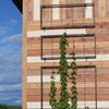 Exeter Wall Trellis