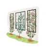 Exeter Wall Trellis