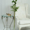Extraordinary 4 Foot Single Stem Rose