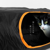 Extreme Cat Tunnel