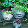 Faccia Face Planters