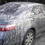 Fake Bird Poop Prank