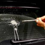 Fake Bird Poop Prank