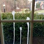 Fake Bird Poop Prank