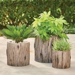 Faux Old Oak Tree Trunk Planters