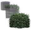 Faux Shrub Utility Cover
