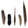 Feather Magnets