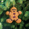 Festive Bird Seed Tree Ornaments and String Lights