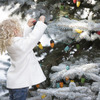 Festive Bird Seed Tree Ornaments and String Lights