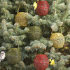 Festive Mini Globe Bird Feeders