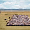 FieldCandy - Creative Designer Tents
