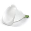 Fill-A-Lily - Silicone Flower Funnel