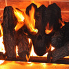 Fire Pit Demon Skull