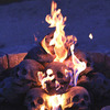 Fire Pit Skull Logs