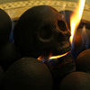 Fire Pit Skull Logs