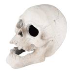 Fireproof Human Skulls for Fire Pits, Campfires, and Fireplaces