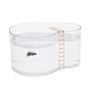 Fishpool Aquarium - Betta Fish Swimming Pool with Diving Board