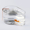 Fishpool Aquarium - Betta Fish Swimming Pool with Diving Board