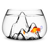 Fishscape - Mountainous Fishbowl