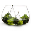 Fishscape - Mountainous Fishbowl