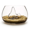 Fishscape - Mountainous Fishbowl