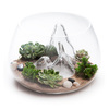 Fishscape - Mountainous Fishbowl