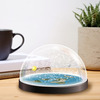 Flat Earth Snow Globe