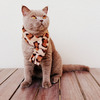 Fleece Cat Scarves
