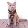 Fleece Cat Scarves