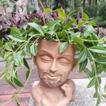 Flexing Planter