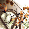 Flicker Flame String Lights