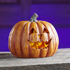 Flickering Flame Jack O' Lantern