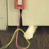 Fling-ama-string Motorized Cat Toy