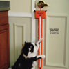 Fling-ama-string Motorized Cat Toy