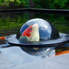 Floating Fish Dome