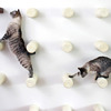 Floating Sisal Rope Cat Post Wall Steps