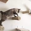 Floating Sisal Rope Cat Post Wall Steps