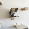 Floating Sisal Rope Cat Post Wall Steps
