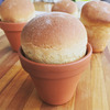 Flower Pot Bread Making Kit