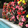 Flower Tower - Freestanding Vertical Planter