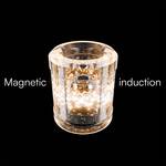 Flux VISION Magnetic Toy - Defies Gravity and Displays Magnetic Fields
