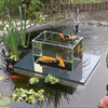 Flying Aquarium - Above The Water Floating Koi / Goldfish Observation Tank