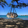 Flying Saucer Hanging Hammock Chair