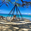 Flying Saucer Hanging Hammock Chair