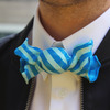 Realistic Food Bowties