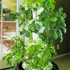 Foody 12 - Vertical Hydroponic Garden Tower